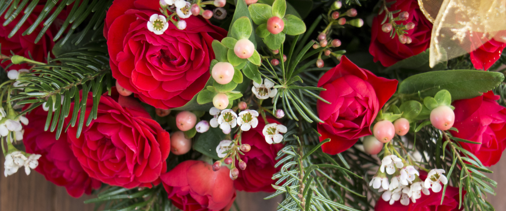 Christmas Flowers