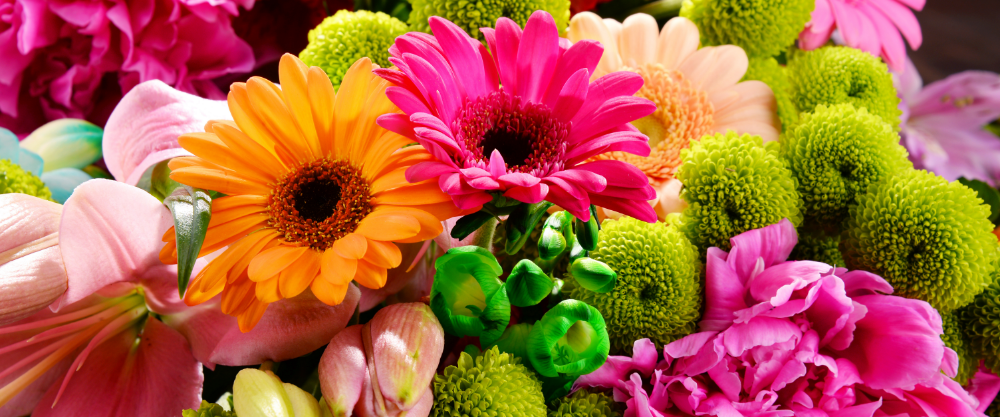 Summer Flowers